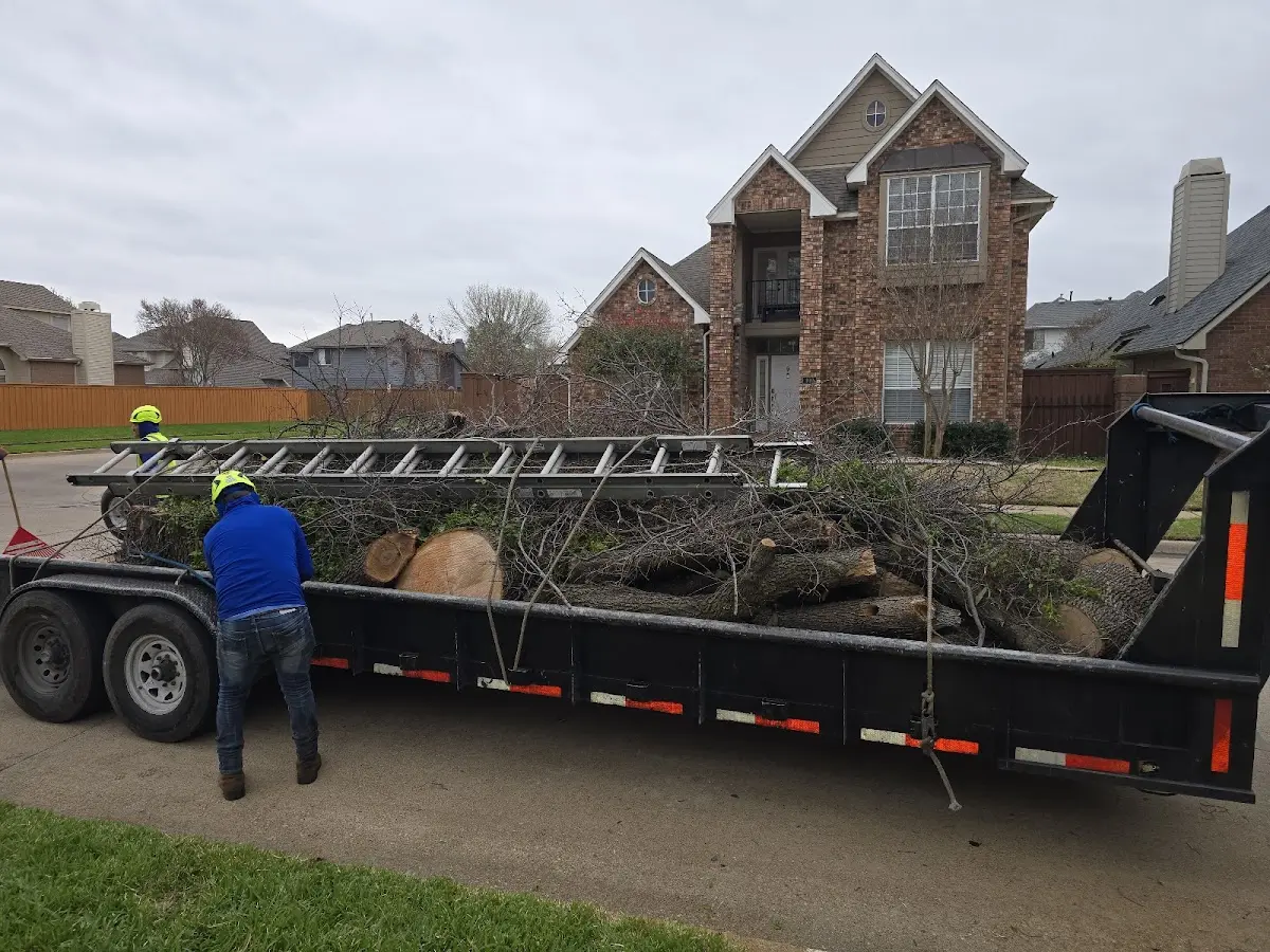 Expert Lot Clearing with proper safety equipment in Walters